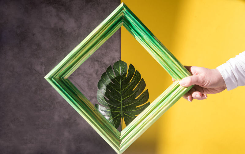 Close-up of hand holding yellow leaf against gray background