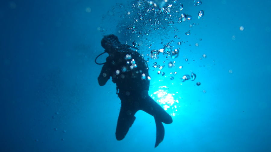 Low angle view of man swimming undersea