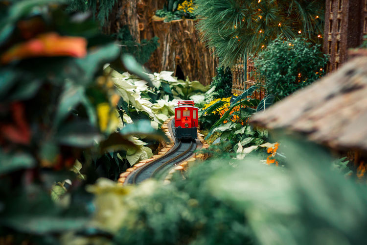 Small red model train in a horticultural display