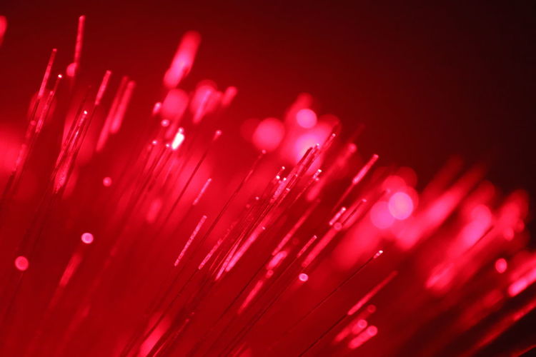 Close-up of illuminated fiber optic