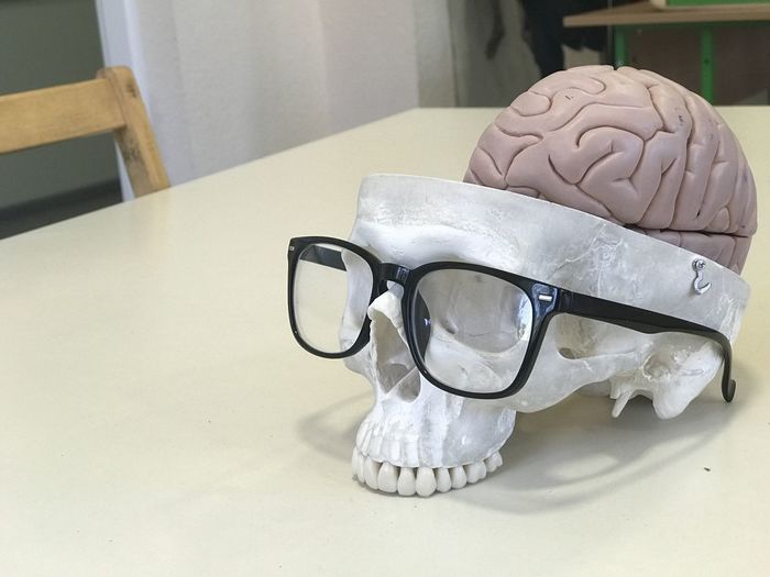 Close-up of eyeglasses on human skull with brain on table