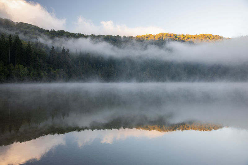 Scenic foggy autumn forest,trees reflection on lake.	lake saint anne,transylvania.