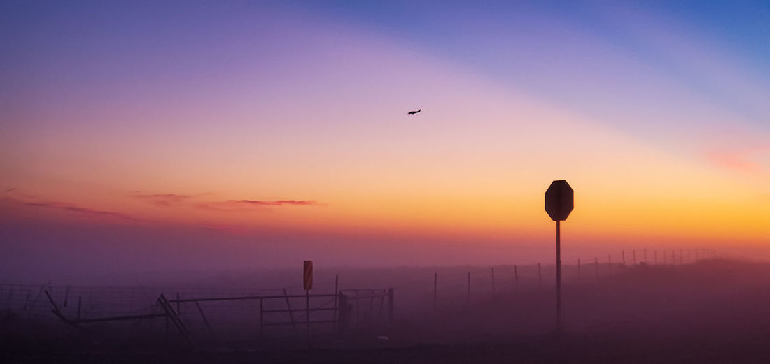 Foggy dawn of a new day
