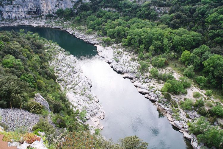 High angle view of river amidst trees in forest
