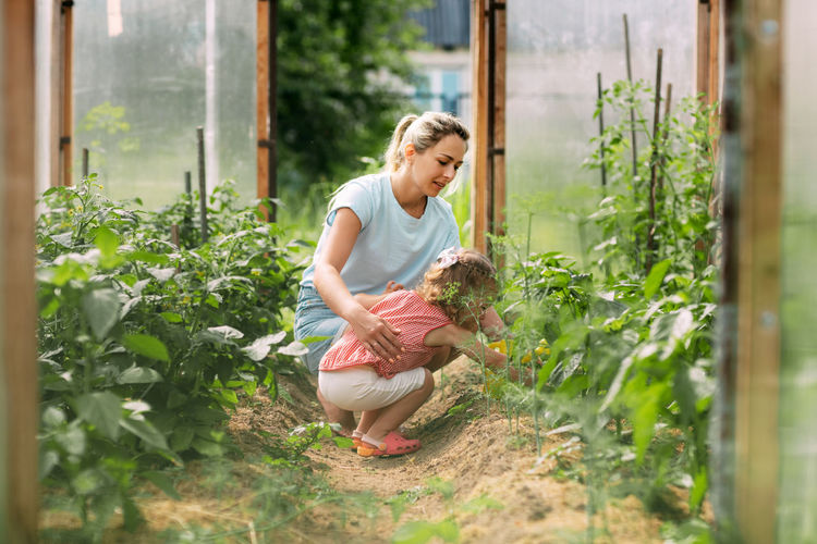 A happy little girl helps her mother to water the plants in the greenhouse. childhood, parenting