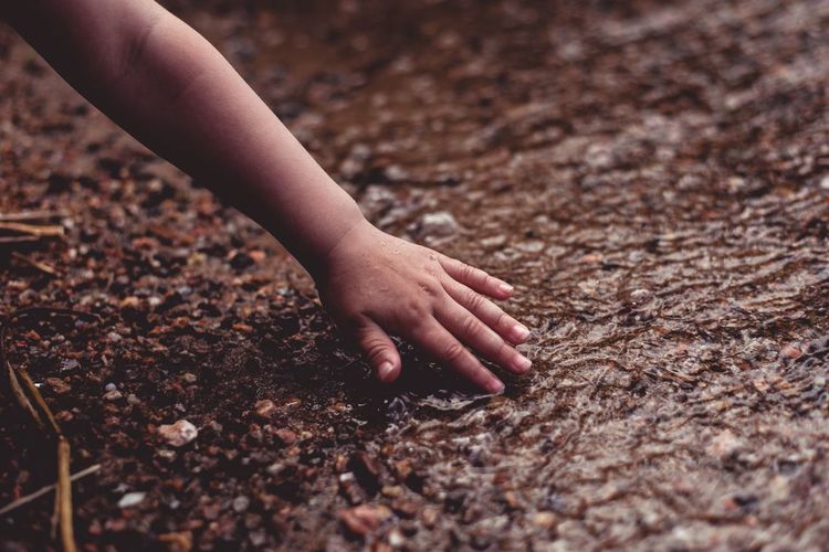 Cropped hand of child touching water flowing in stream