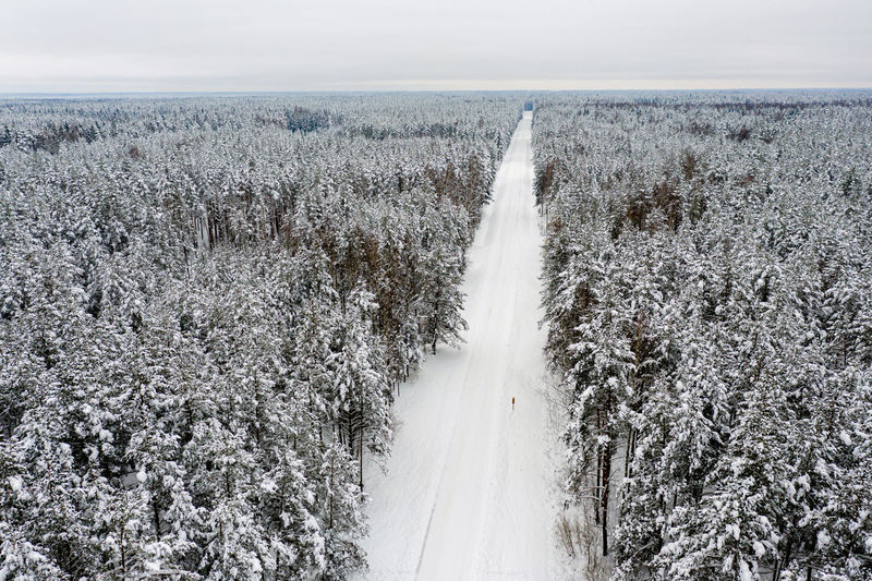 Winter snow-covered coniferous forest and the road from a birds-eye view