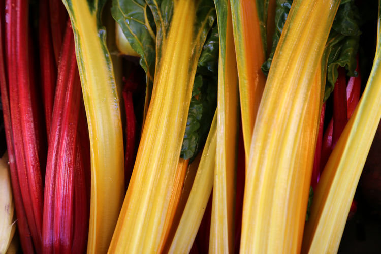 Colorful rhubarb yellow and red 