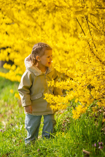 yellow