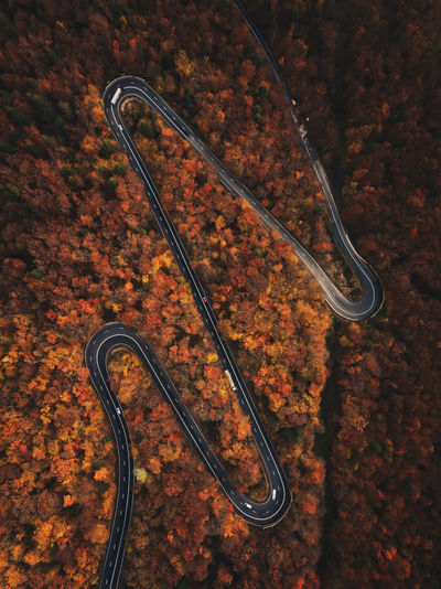 Aerial view of a curved road in transylvania,romania. colorful forest from above. autumn season 
