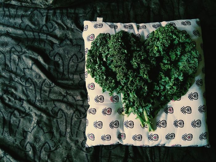 Kale leaves forming heart shape on cushion
