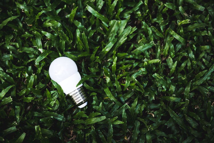 High angle view of light bulb on field