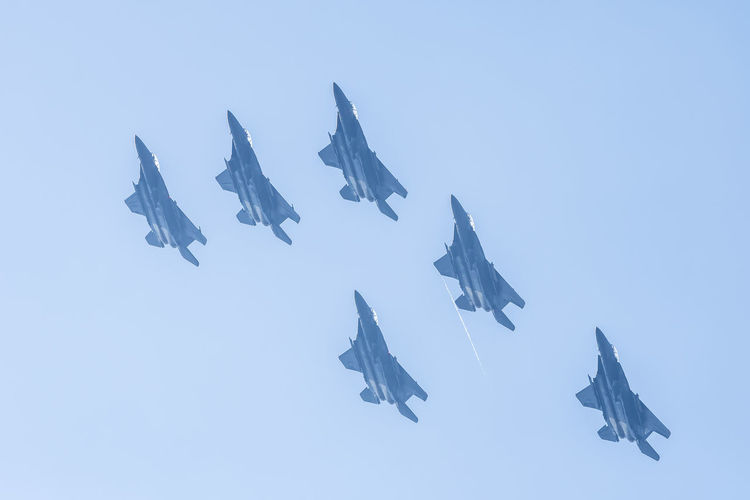 Low angle view of birds flying in the sky