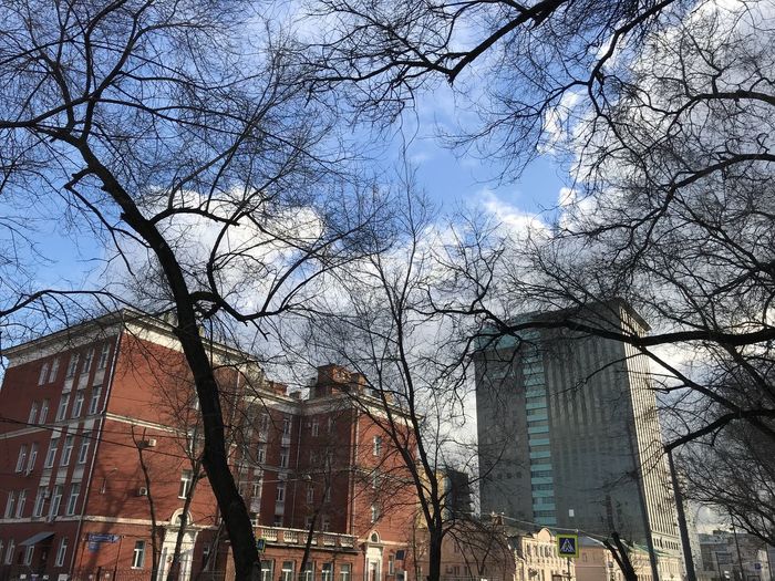 Low angle view of trees and buildings against sky