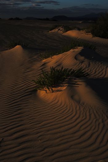 High angle view of sand dune in desert against sky