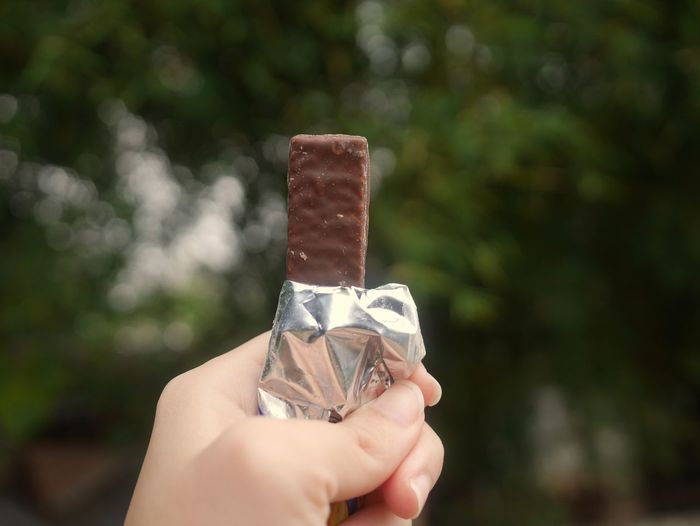 Close-up of hand holding chocolate against trees