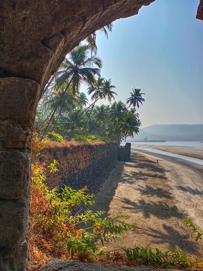 Palm trees by sea against sky