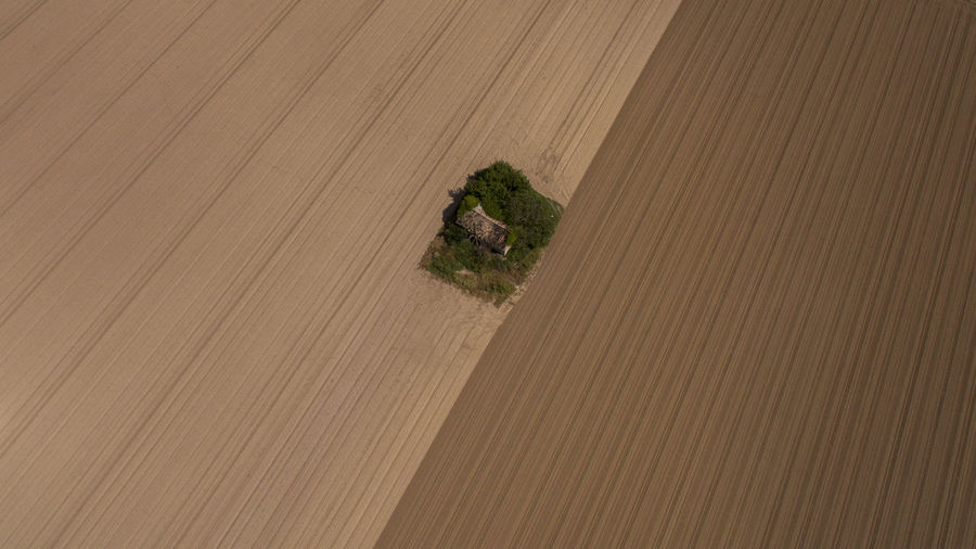 High angle view of house and trees amidst ploughed agricultural field