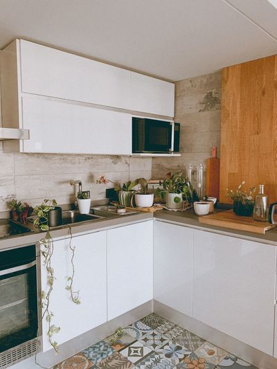 Kitchen with plants