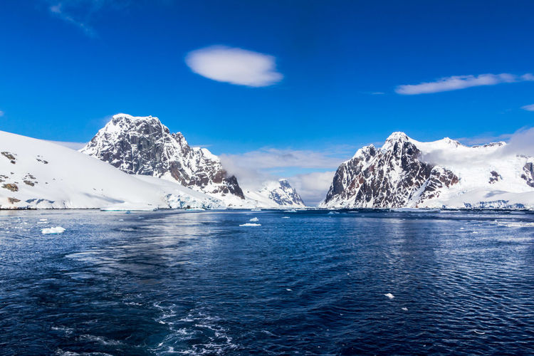 Icebergs in antarctica