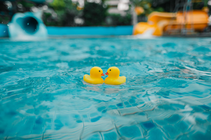 Close-up of yellow duck floating in swimming pool