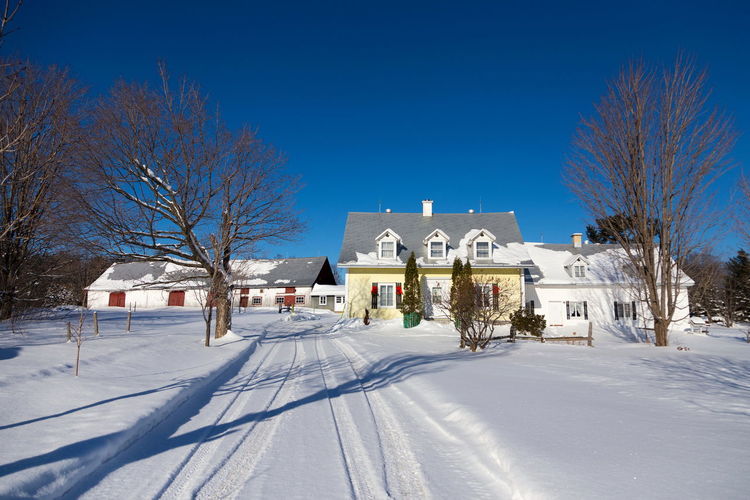 Snow covered houses and trees against clear blue sky