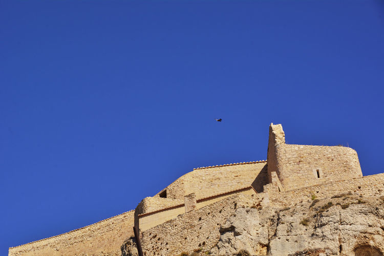 Raptors flying over medieval castle blue sky colors of nature