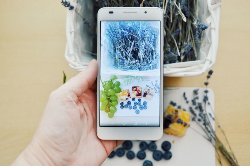 Close-up of hand photographing fruits and flowers with smart phone