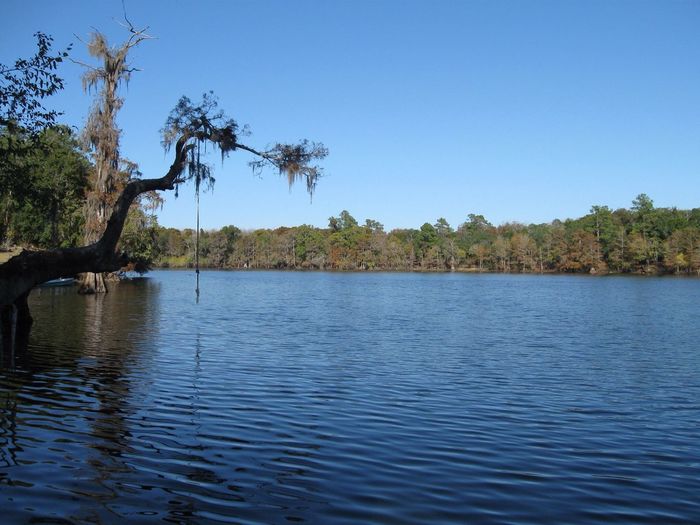 Scenic view of calm lake against clear sky