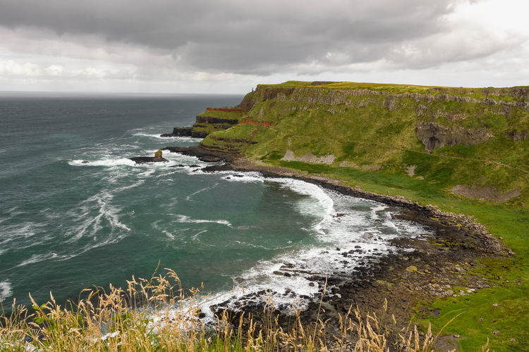 Landscape of giant's causeway trail in northern ireland in united kingdom. unesco heritage.