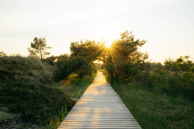 A wooden hiking path in the national park at sunset with a sunstar
