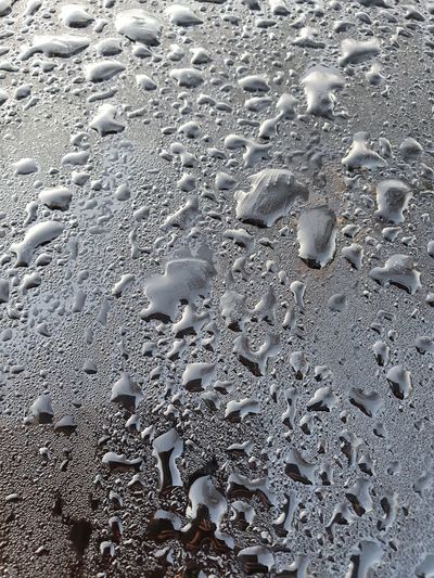 High angle view of raindrops on sand