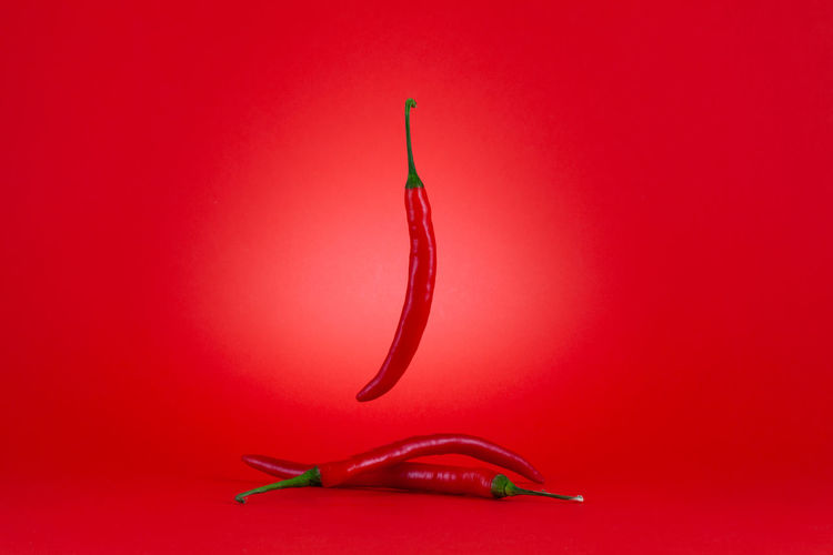 High angle view of red chili peppers against yellow background