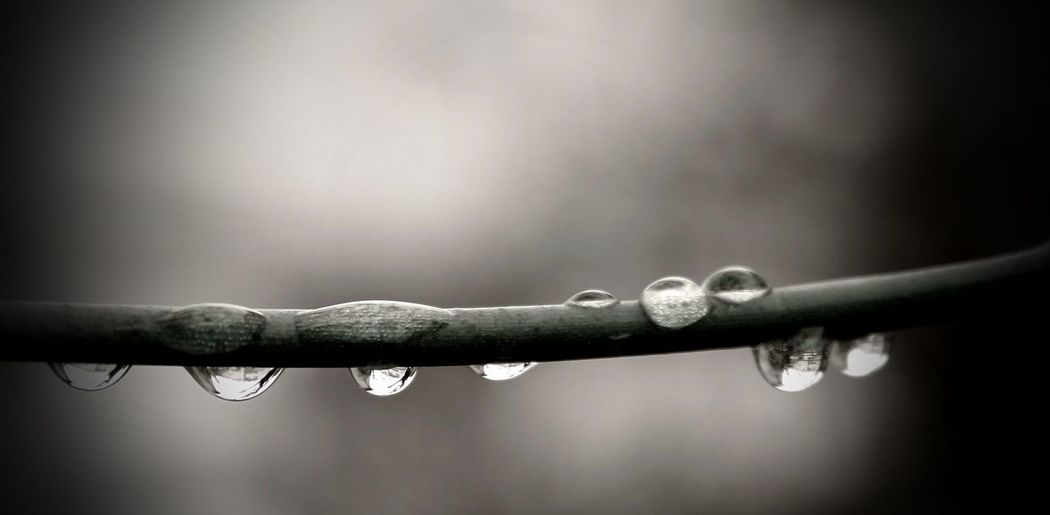 Close-up of water drops on metal