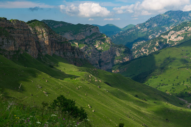 Scenic view of landscape against sky