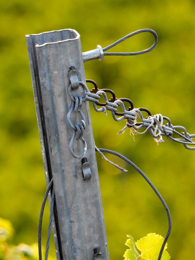 Close-up of chain on fence