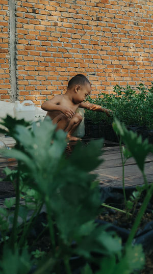 Children play celery in the garden