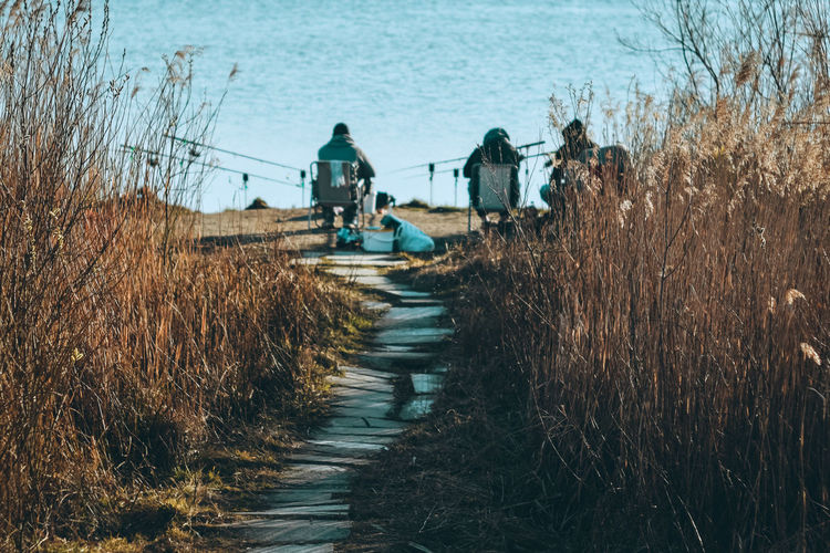Footpath by sea