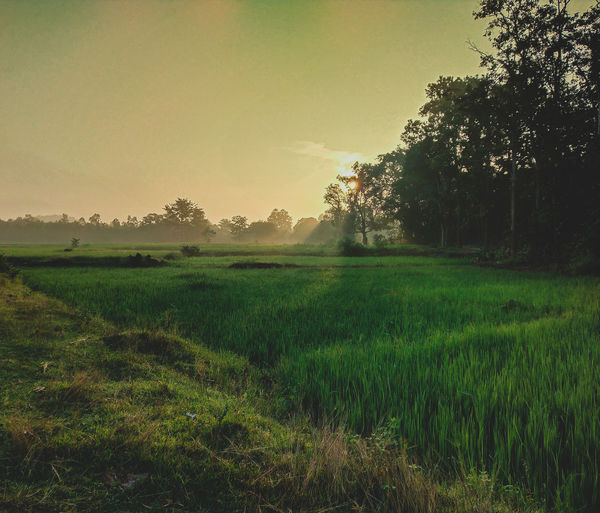 Scenic view of field against sky during sunset