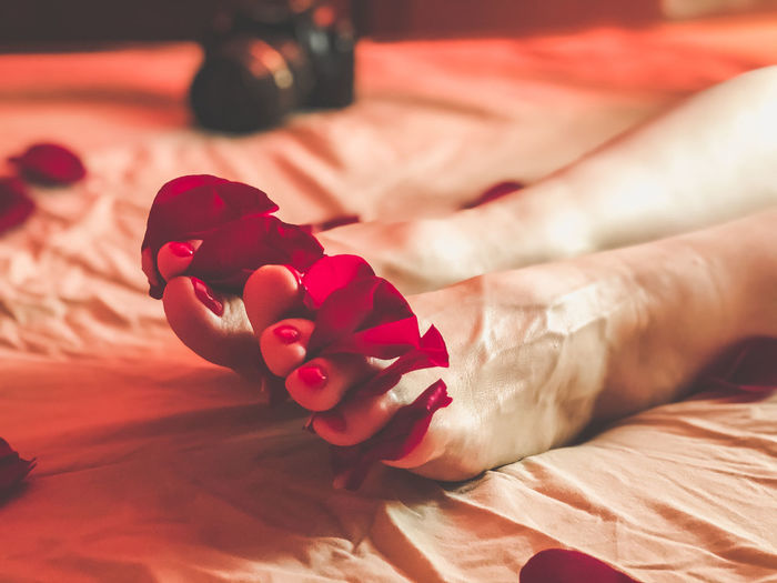 Cropped leg of woman with rose petals