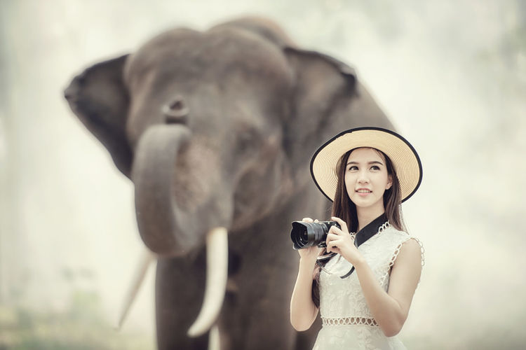 Woman looking away while holding camera against elephant