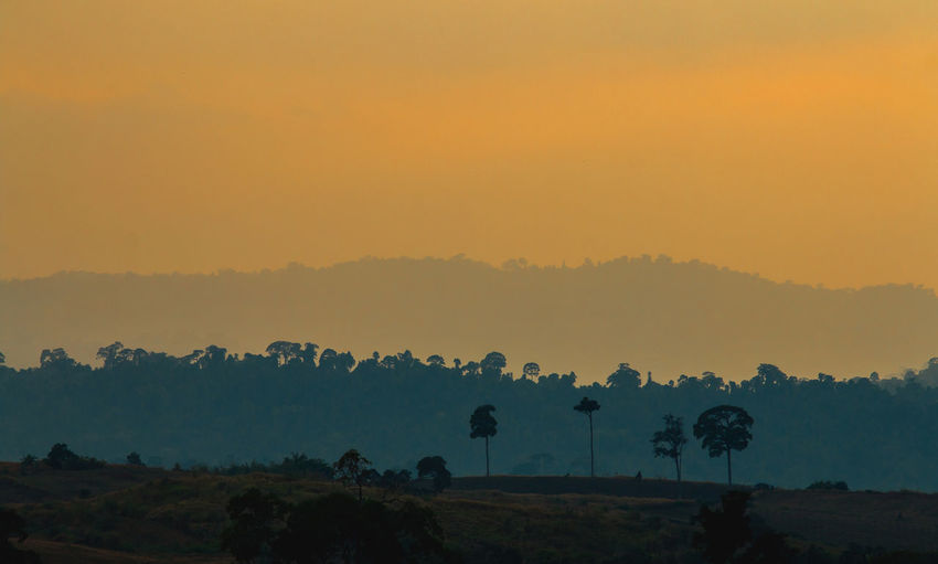 Scenic view of silhouette trees against sky during sunset