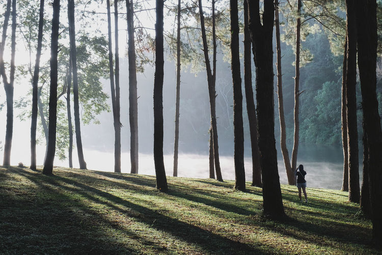 Woman photographing in forest
