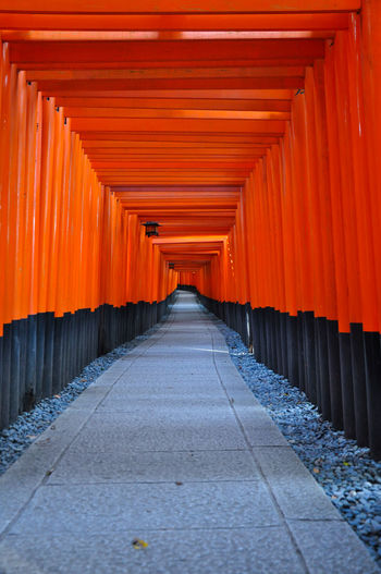 One thousand torii