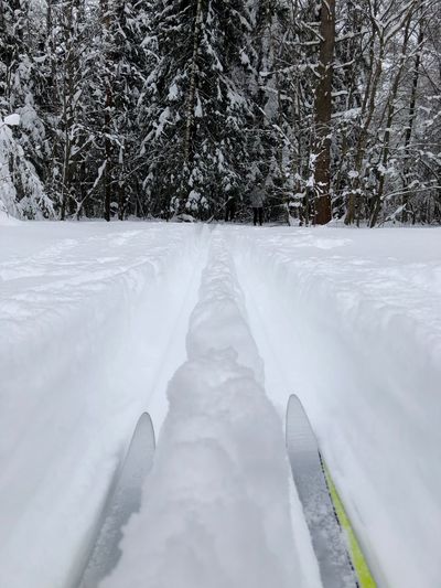 Ski and ski trails 
