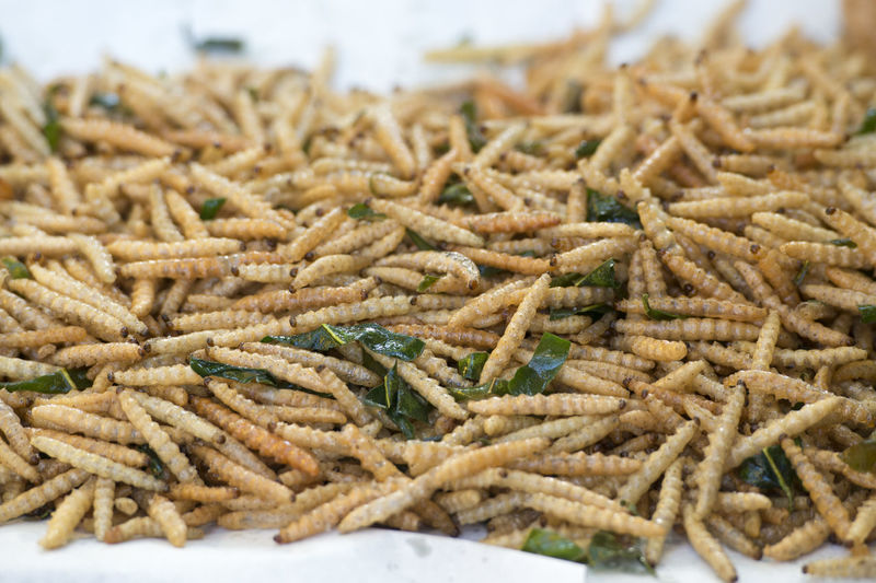 Close-up of fresh fried worms on wax paper at market stall