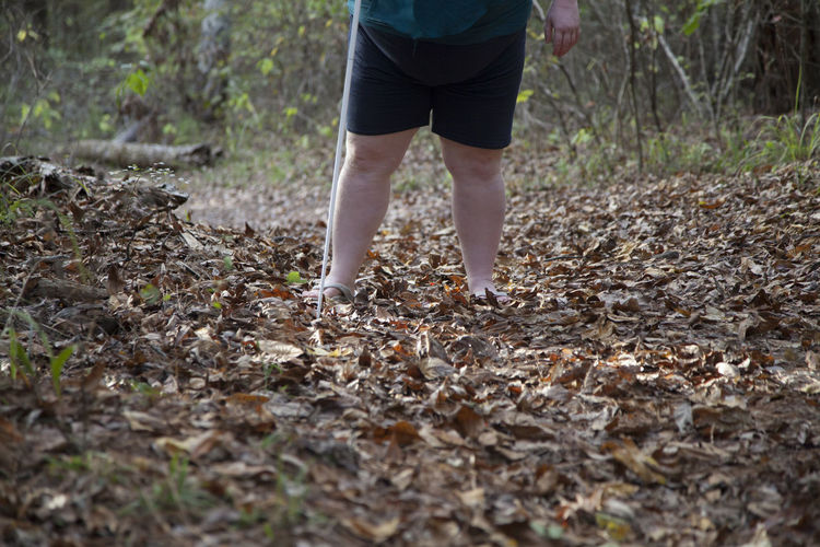 Low section of person standing on leaves in forest