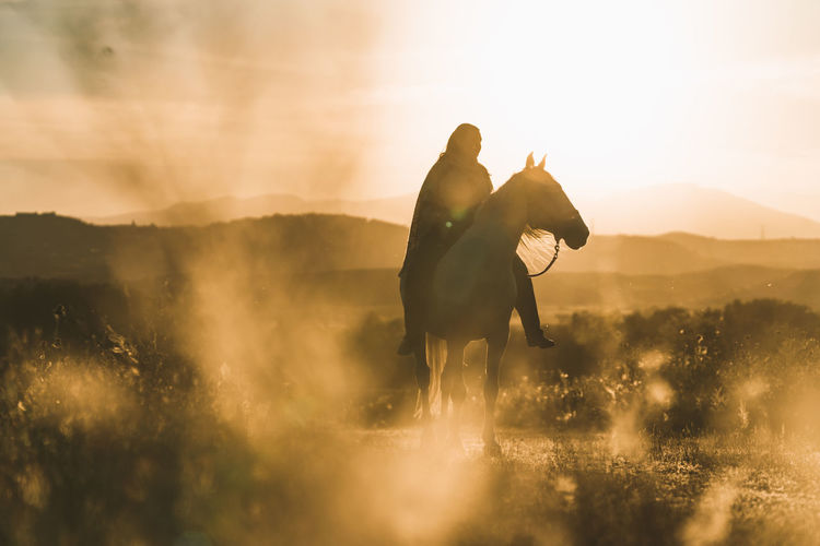 Woman riding horse on field during sunset