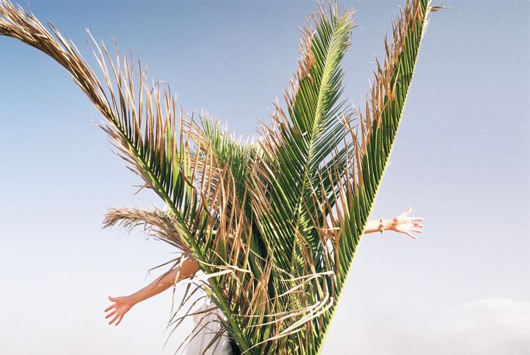 Woman standing against palm tree