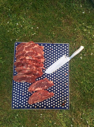 High angle view of meat and knife against grass